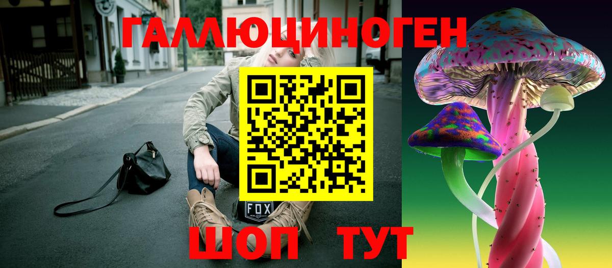 Галлюциногенные грибы Psilocybe  Вход с VPN  Дербент 