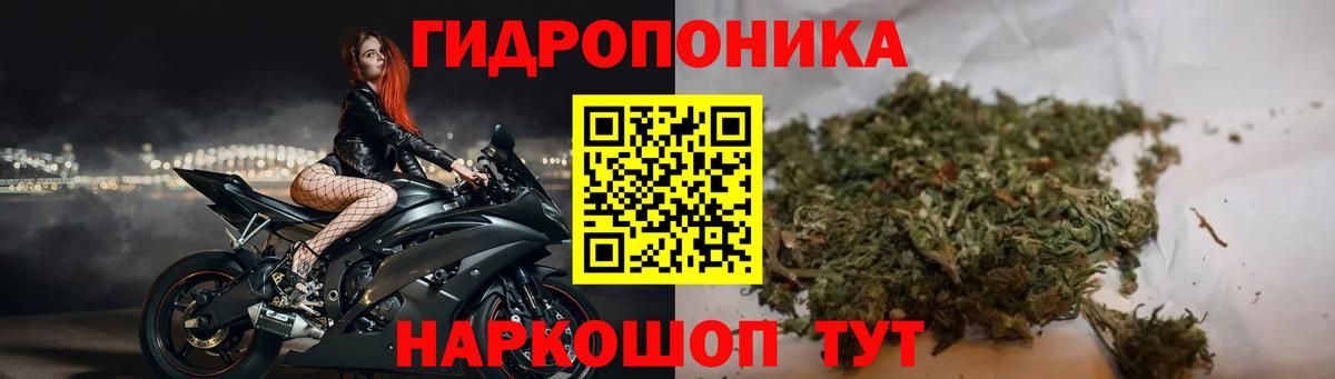 Бошки марихуана индика Дербент